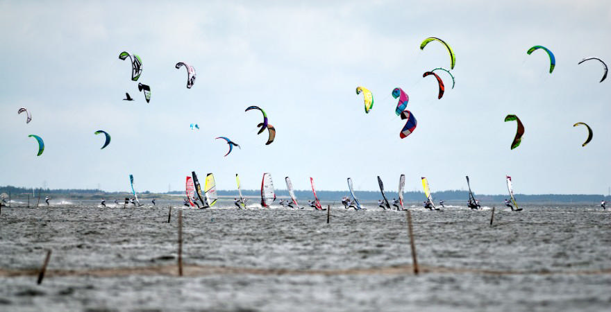 Billede af surfere på fjorden